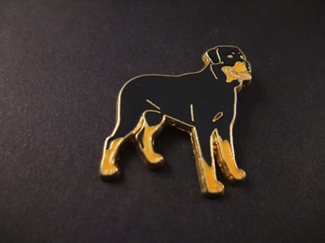 Rottweiler sterk Duits hondenras